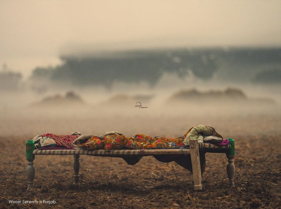 Winter Serenity in Punjab