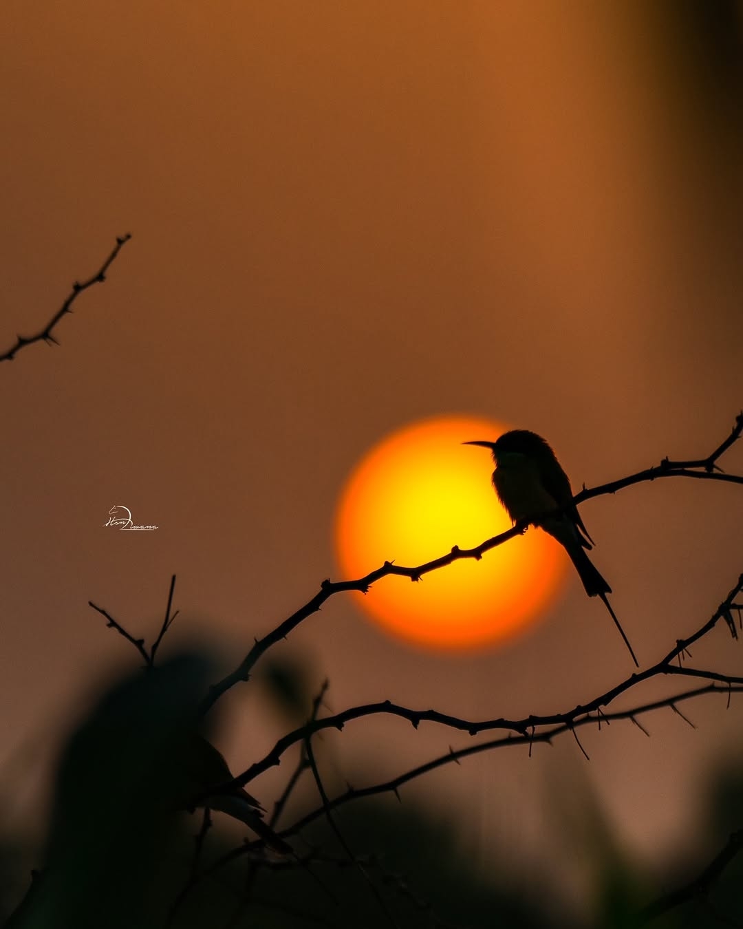Hope