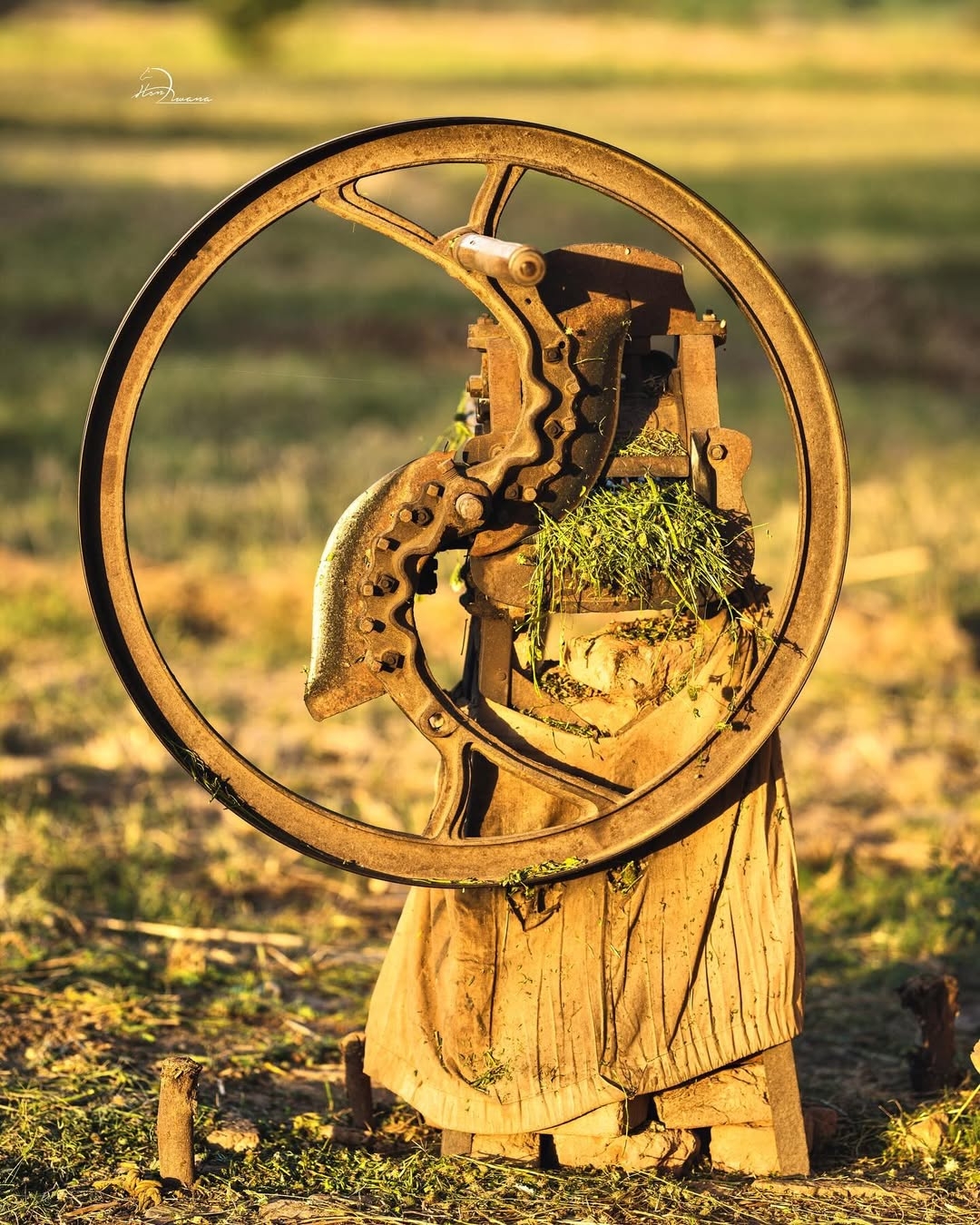 Glimpses of Rural Life